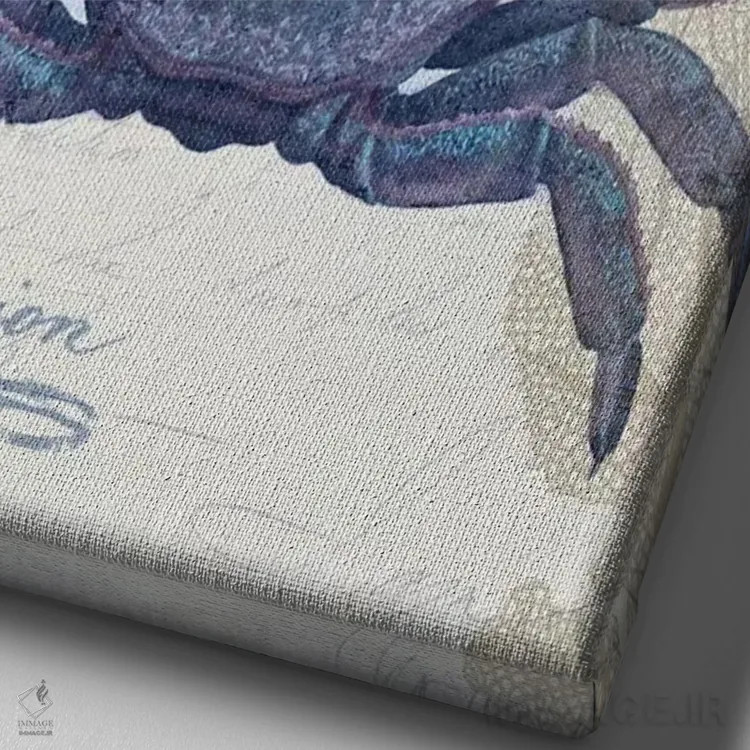 تابلو دکوراتیو کارت پستال ساحلی روی کرم: خرچنگ اثر فب فانکی - نمای نزدیک بافت بوم