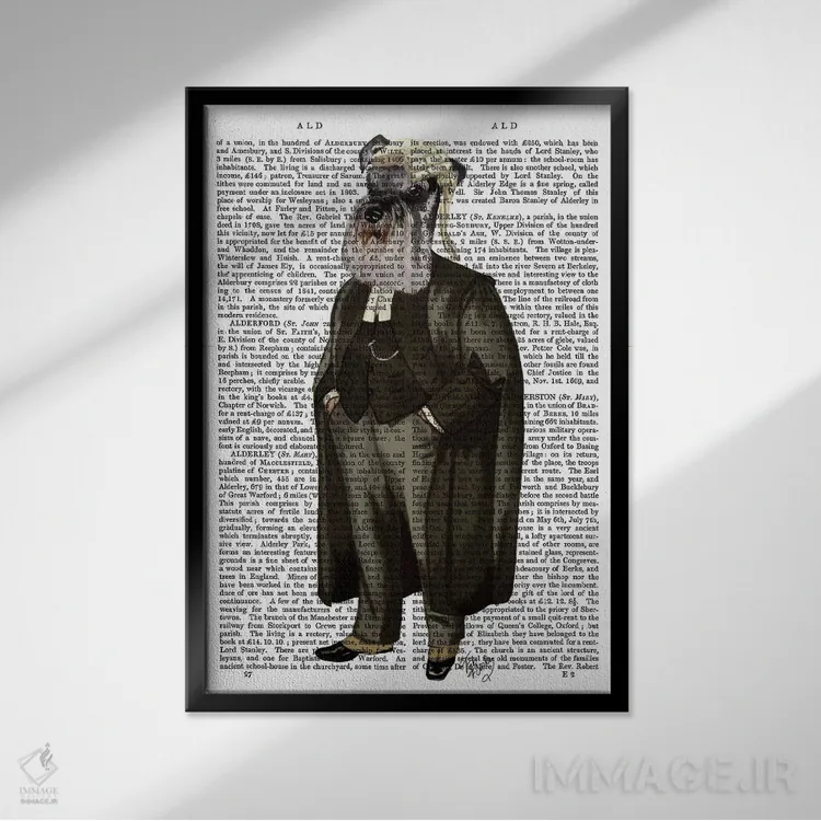 تابلو دکوراتیو شنوزر وکیل اثر فب فانکی - نمای قابدار مشکی