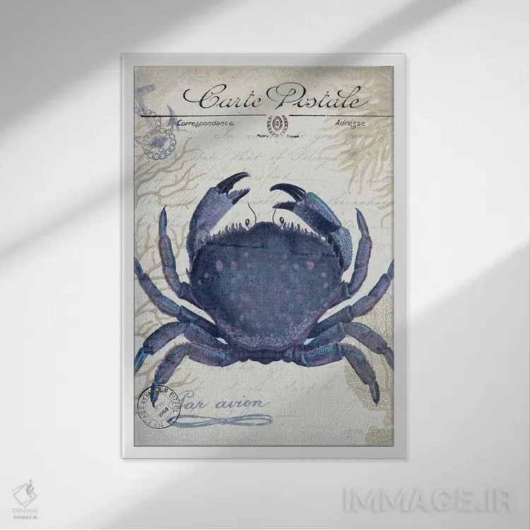 تابلو دکوراتیو کارت پستال ساحلی روی کرم: خرچنگ اثر فب فانکی - نمای قابدار سفید