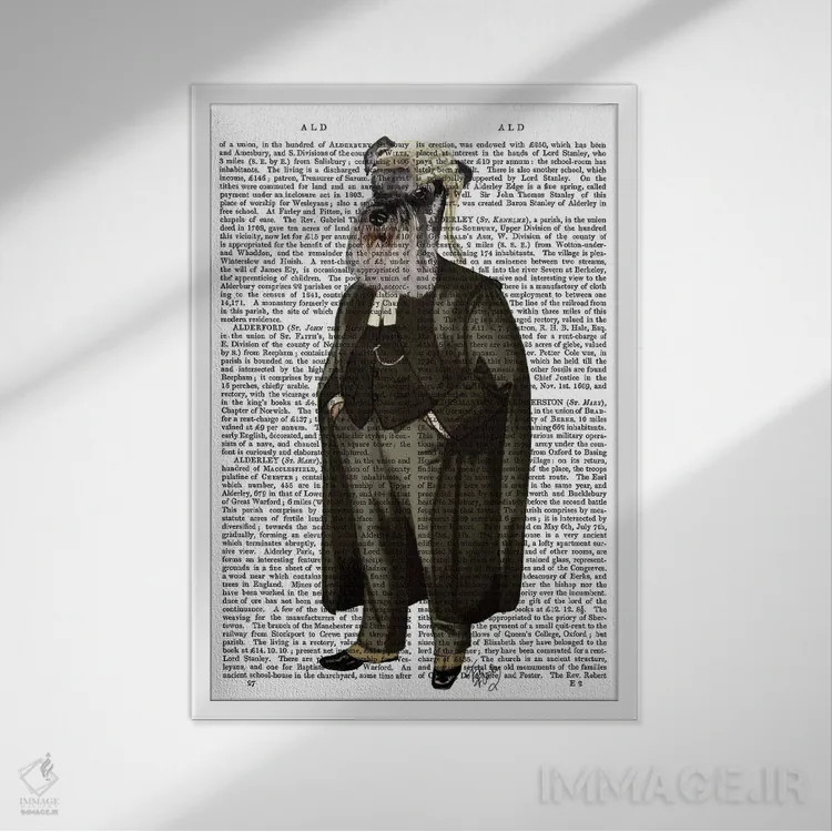 تابلو دکوراتیو شنوزر وکیل اثر فب فانکی - نمای قابدار سفید