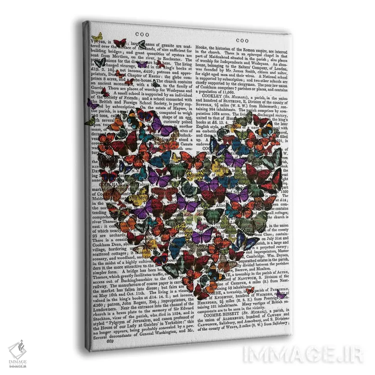 تابلو دکوراتیو قلب پروانه ای اثر فب فانکی - نمای پرسپکتیو محصول