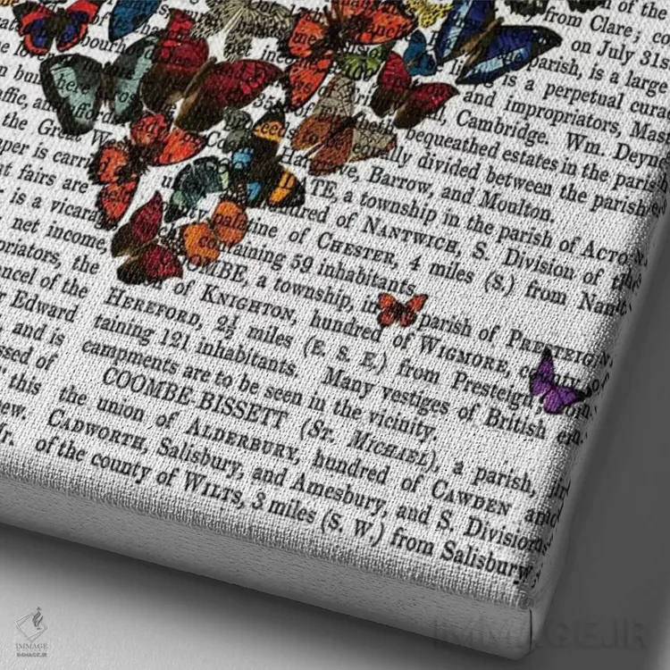 تابلو دکوراتیو قلب پروانه ای اثر فب فانکی - نمای نزدیک بافت بوم