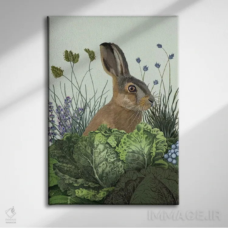 تابلو دکوراتیو خرگوش کلمی ۳ اثر فب فانکی - نمای روبهرو روی دیوار