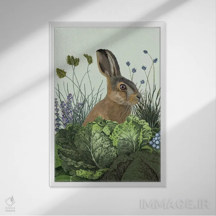 تابلو دکوراتیو خرگوش کلمی ۳ اثر فب فانکی - نمای قابدار سفید