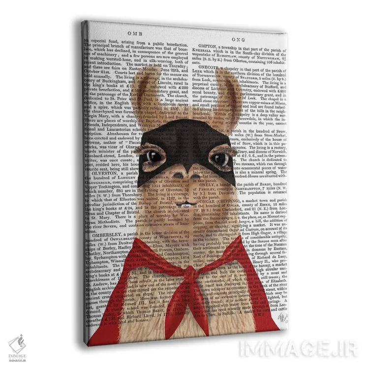 تابلو دکوراتیو لامای ابرقهرمان اثر فب فانکی - نمای پرسپکتیو محصول