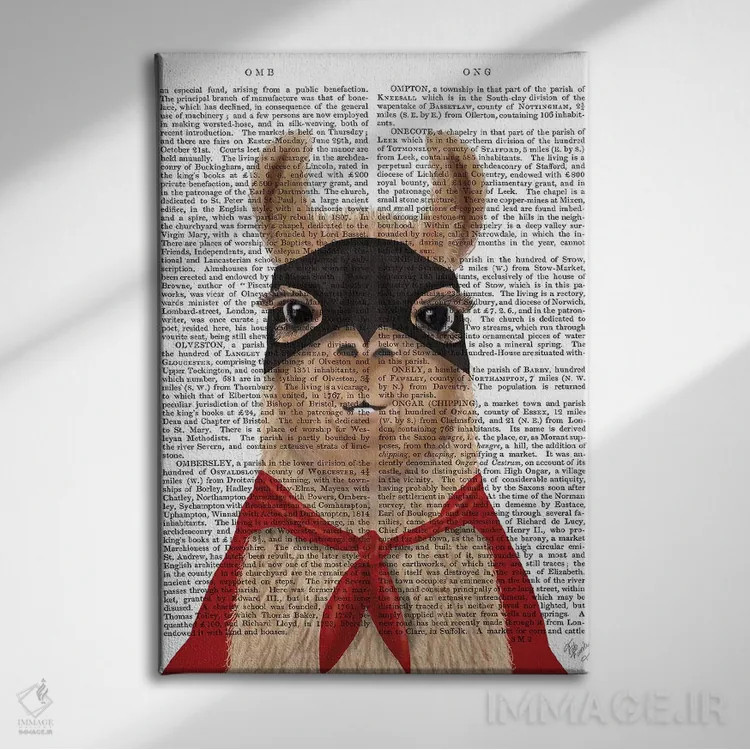 تابلو دکوراتیو لامای ابرقهرمان اثر فب فانکی - نمای روبهرو روی دیوار