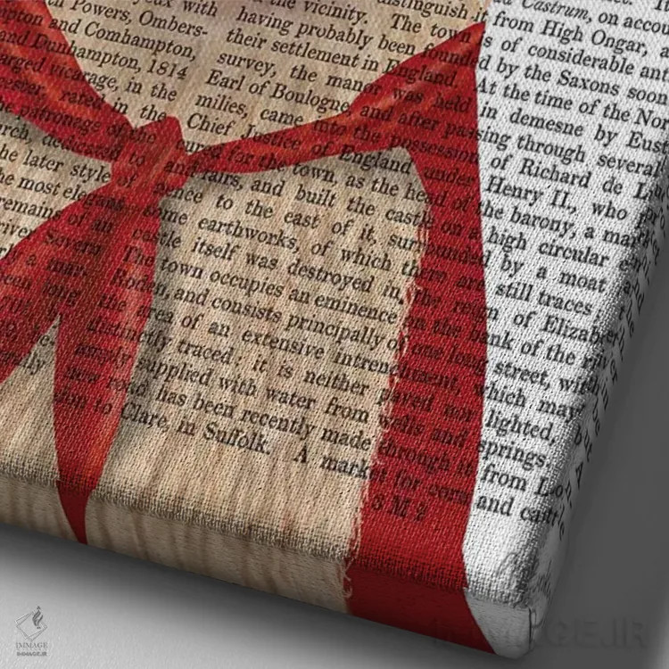 تابلو دکوراتیو لامای ابرقهرمان اثر فب فانکی - نمای نزدیک بافت بوم