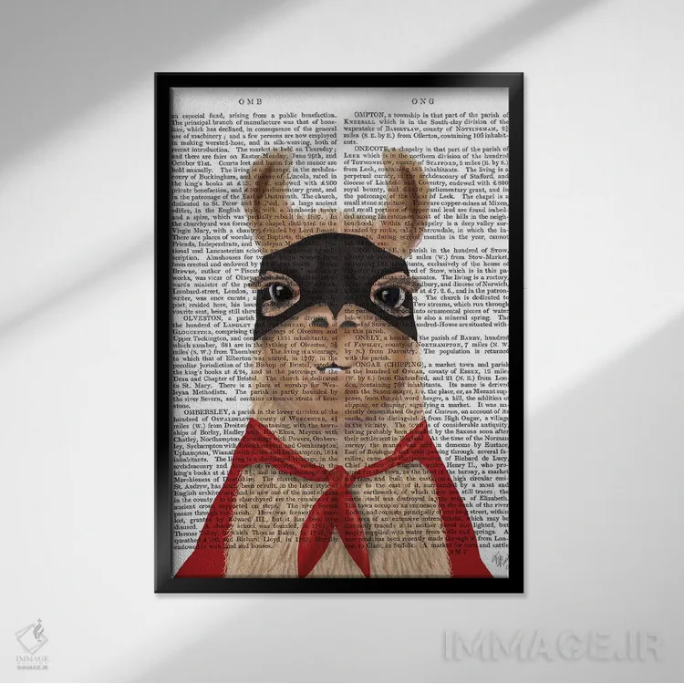 تابلو دکوراتیو لامای ابرقهرمان اثر فب فانکی - نمای قابدار مشکی