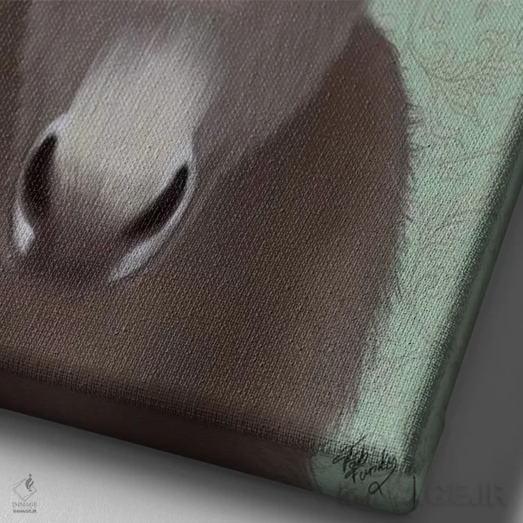 تابلو دکوراتیو الاغ کولی وار ۴ اثر فب فانکی - نمای نزدیک بافت بوم