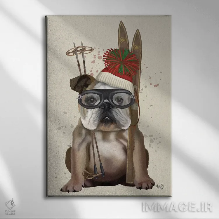 تابلو دکوراتیو بولداگ انگلیسی، اسکی اثر فب فانکی - نمای روبهرو روی دیوار