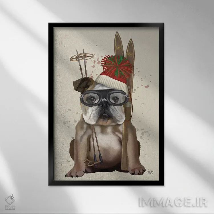 تابلو دکوراتیو بولداگ انگلیسی، اسکی اثر فب فانکی - نمای قابدار مشکی