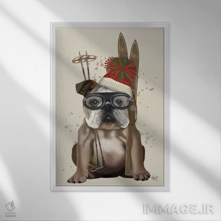 تابلو دکوراتیو بولداگ انگلیسی، اسکی اثر فب فانکی - نمای قابدار سفید