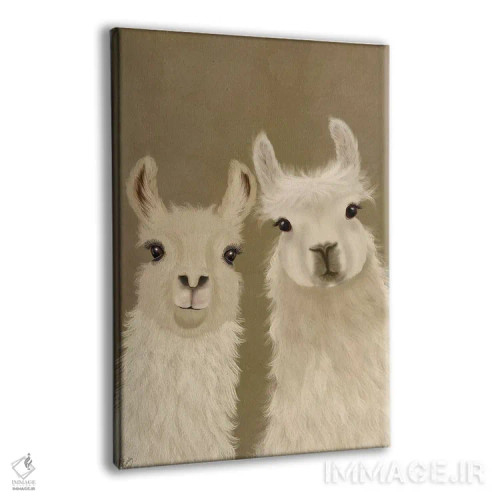 تابلو دکوراتیو دو لاما، در حال نگاه به تو اثر فب فانکی - نمای پرسپکتیو محصول