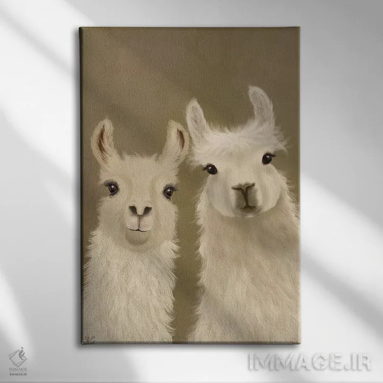 تابلو دکوراتیو دو لاما، در حال نگاه به تو اثر فب فانکی - نمای روبهرو روی دیوار