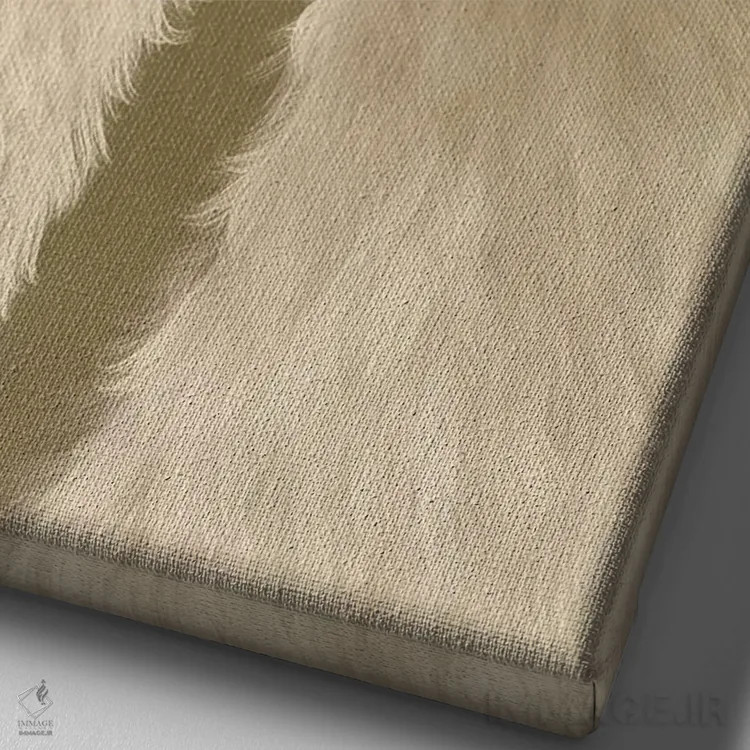 تابلو دکوراتیو دو لاما، در حال نگاه به تو اثر فب فانکی - نمای نزدیک بافت بوم