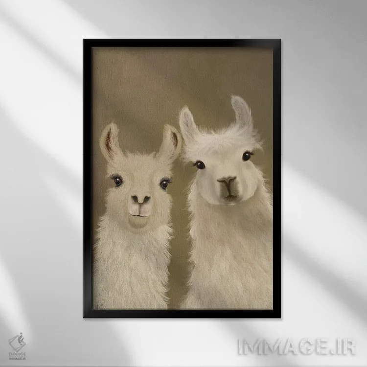 تابلو دکوراتیو دو لاما، در حال نگاه به تو اثر فب فانکی - نمای قابدار مشکی