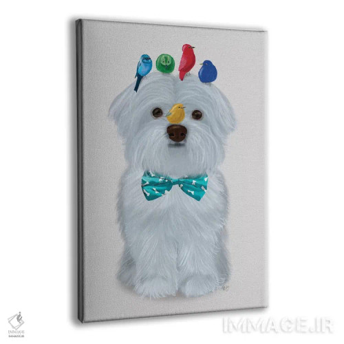 تابلو دکوراتیو سگ مالتیز و پرندگان اثر فب فانکی - نمای پرسپکتیو محصول