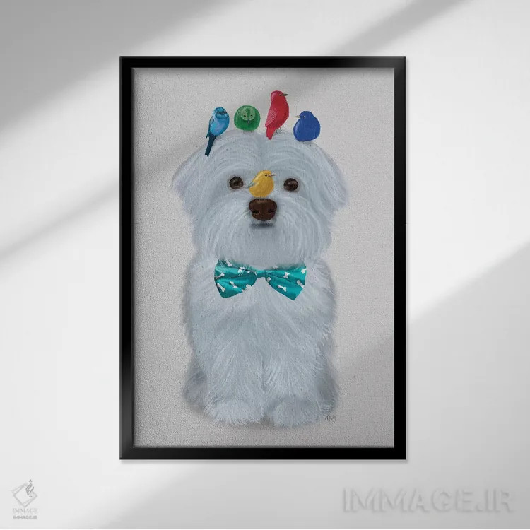 تابلو دکوراتیو سگ مالتیز و پرندگان اثر فب فانکی - نمای قابدار مشکی