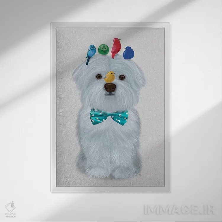 تابلو دکوراتیو سگ مالتیز و پرندگان اثر فب فانکی - نمای قابدار سفید