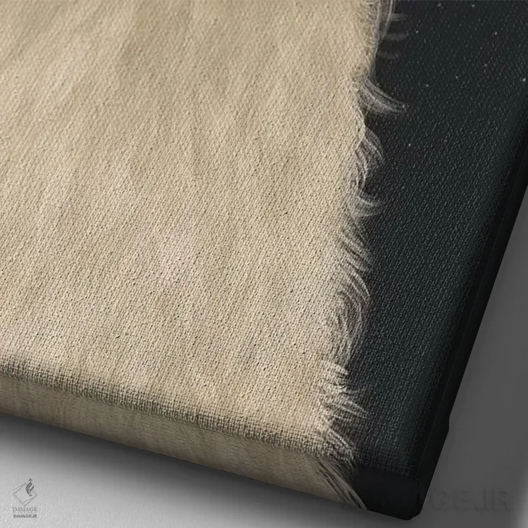 تابلو دکوراتیو لاما با گل های سفید اثر فب فانکی - نمای نزدیک بافت بوم