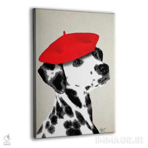تابلو دکوراتیو سگ دالماتین با کلاه بره قرمز اثر فب فانکی - نمای پرسپکتیو محصول
