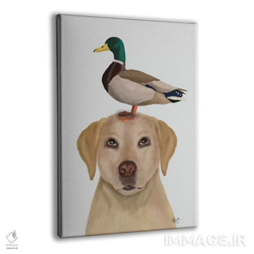 تابلو دکوراتیو لابرادور و اردک ۲ اثر فب فانکی - نمای پرسپکتیو محصول