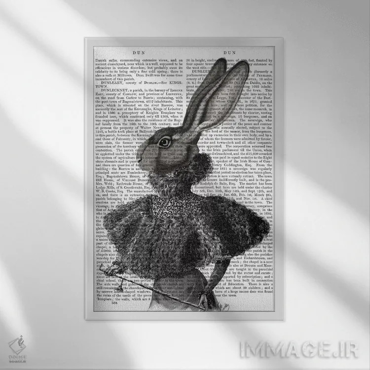 تابلو دکوراتیو بانوی خرگوش ویکتوریایی ۱ اثر فب فانکی - نمای قابدار سفید