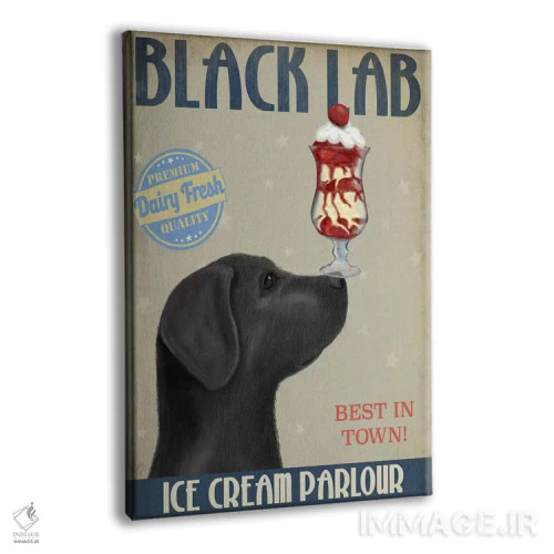 تابلو دکوراتیو لابرادور سیاه در بستنی فروشی اثر فب فانکی - نمای پرسپکتیو محصول