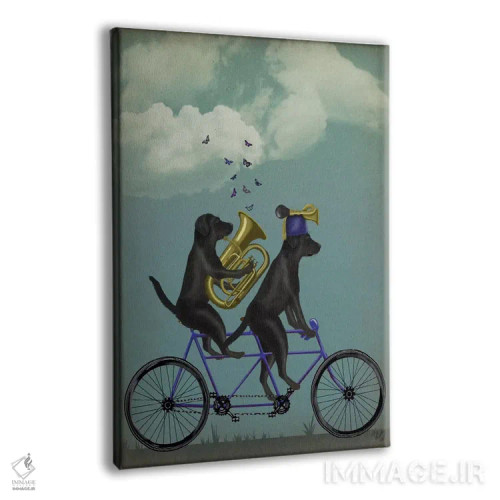 تابلو دکوراتیو لابرادور سیاه دوچرخه دونفره اثر فب فانکی - نمای پرسپکتیو محصول