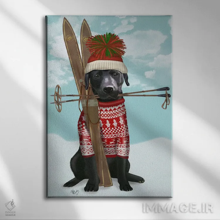 تابلو دکوراتیو لابرادور سیاه، اسکی اثر فب فانکی - نمای روبهرو روی دیوار