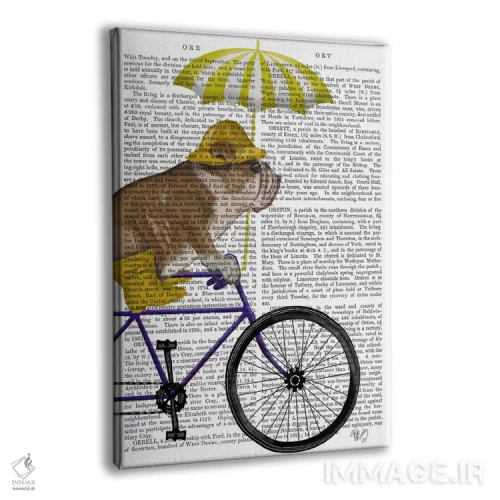 تابلو دکوراتیو بولداگ انگلیسی روی دوچرخه، پس زمینه چاپی اثر فب فانکی - نمای پرسپکتیو محصول