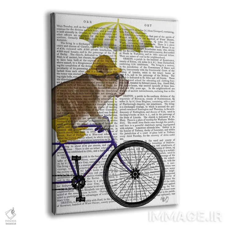 تابلو دکوراتیو بولداگ انگلیسی روی دوچرخه، پس زمینه چاپی اثر فب فانکی - نمای پرسپکتیو محصول