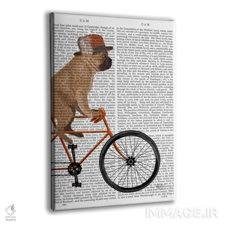 تابلو دکوراتیو بولداگ فرانسوی روی دوچرخه، پس زمینه چاپی اثر فب فانکی - نمای پرسپکتیو محصول