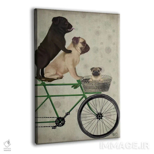 تابلو دکوراتیو پاگ ها روی دوچرخه اثر فب فانکی - نمای پرسپکتیو محصول
