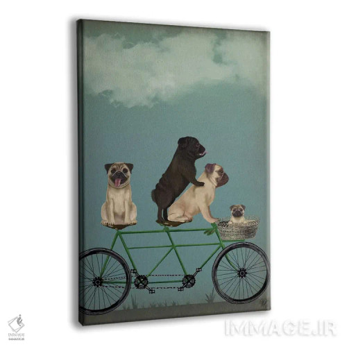 تابلو دکوراتیو پاگ روی دوچرخه دونفره اثر فب فانکی - نمای پرسپکتیو محصول