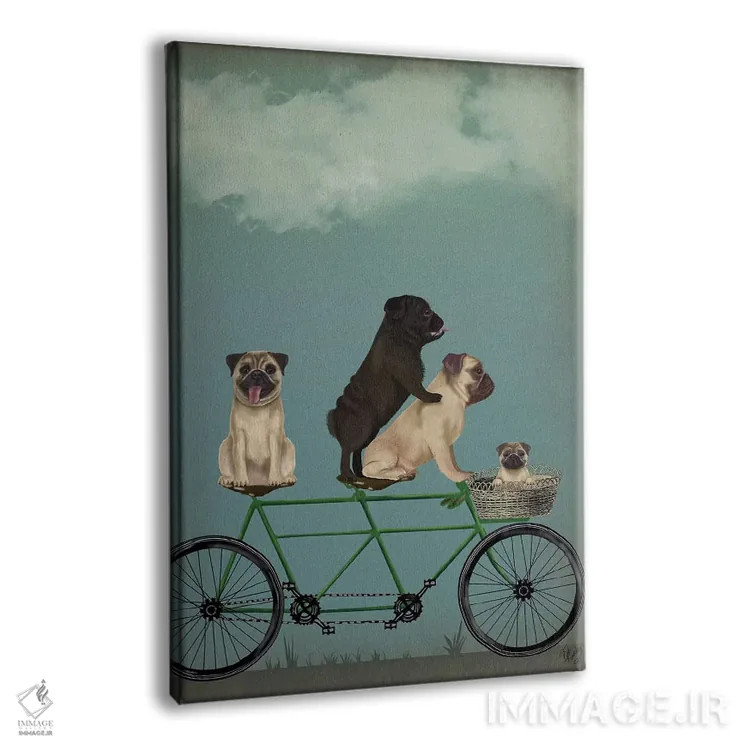 تابلو دکوراتیو پاگ روی دوچرخه دونفره اثر فب فانکی - نمای پرسپکتیو محصول