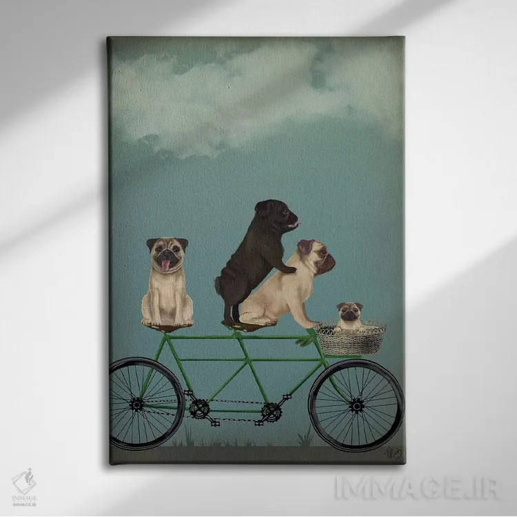 تابلو دکوراتیو پاگ روی دوچرخه دونفره اثر فب فانکی - نمای روبهرو روی دیوار