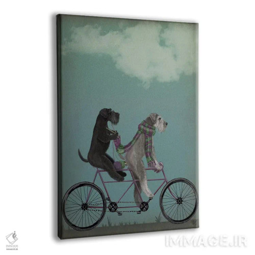 تابلو دکوراتیو اشناور روی دوچرخه دونفره اثر فب فانکی - نمای پرسپکتیو محصول