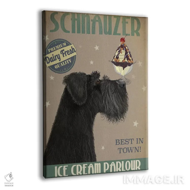 تابلو دکوراتیو اشناور سیاه و بستنی اثر فب فانکی - نمای پرسپکتیو محصول