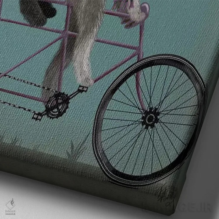 تابلو دکوراتیو اشناور روی دوچرخه دونفره اثر فب فانکی - نمای نزدیک بافت بوم