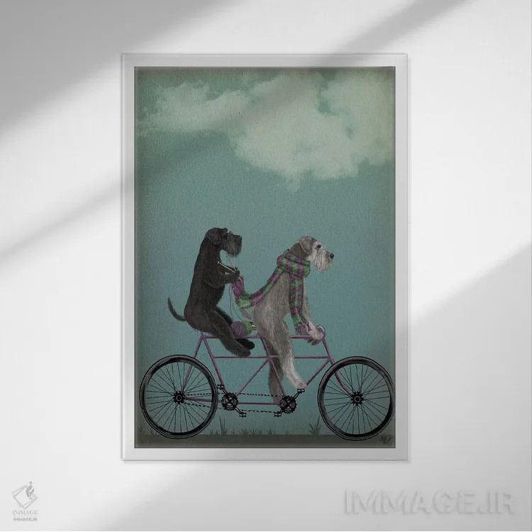 تابلو دکوراتیو اشناور روی دوچرخه دونفره اثر فب فانکی - نمای قابدار سفید