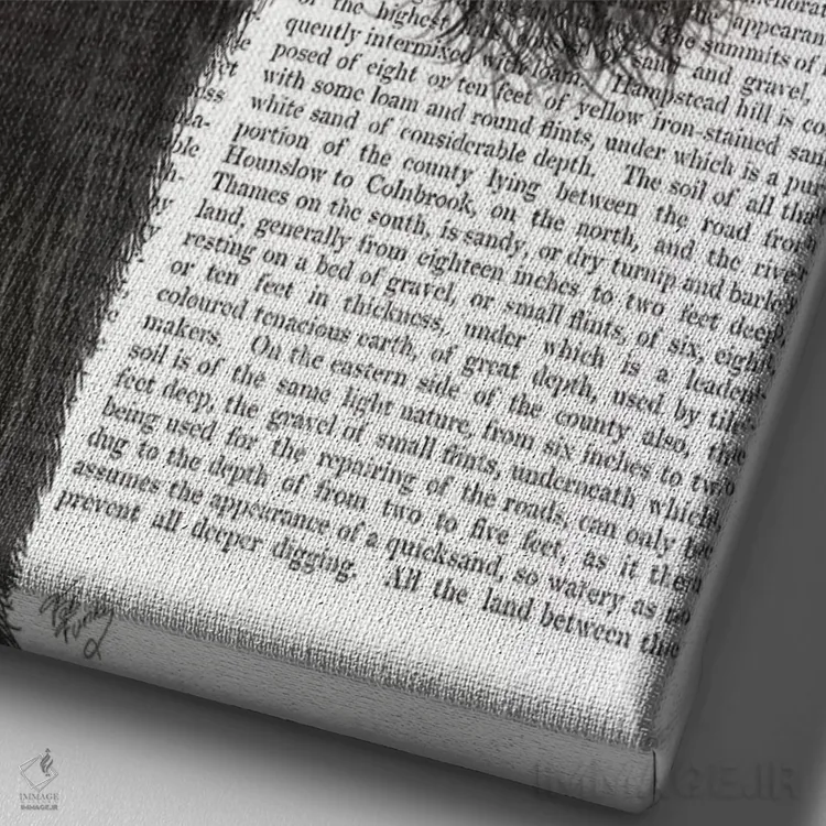 تابلو دکوراتیو اشناور سیاه و بستنی، پس زمینه چاپی اثر فب فانکی - نمای نزدیک بافت بوم