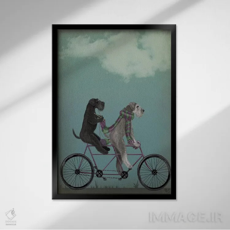 تابلو دکوراتیو اشناور روی دوچرخه دونفره اثر فب فانکی - نمای قابدار مشکی
