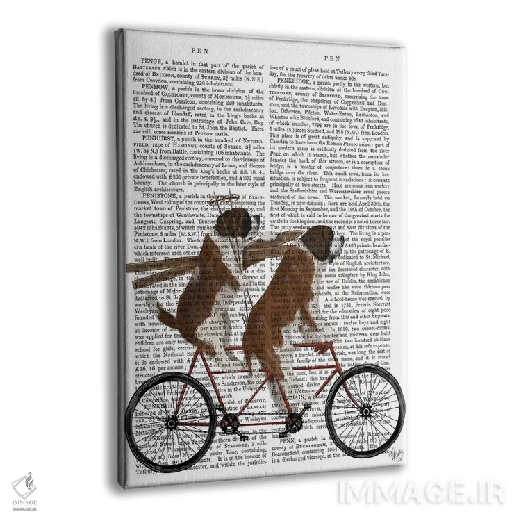 تابلو دکوراتیو سنت برنارد روی دوچرخه دونفره، پس زمینه چاپی اثر فب فانکی - نمای پرسپکتیو محصول