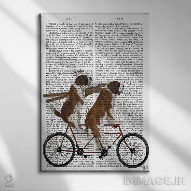 تابلو دکوراتیو سنت برنارد روی دوچرخه دونفره، پس زمینه چاپی اثر فب فانکی - نمای روبهرو روی دیوار