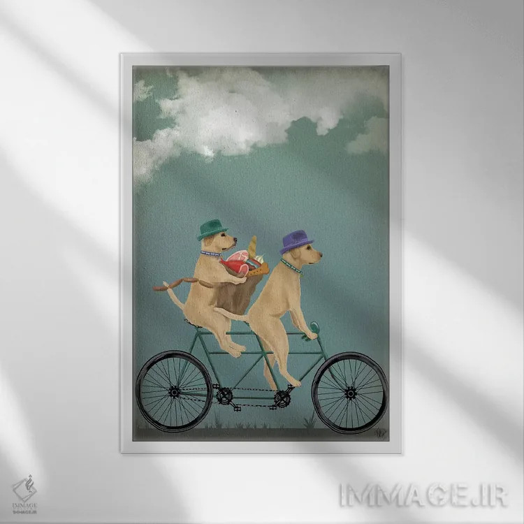 تابلو دکوراتیو لابرادور زرد روی دوچرخه دونفره اثر فب فانکی - نمای قابدار سفید