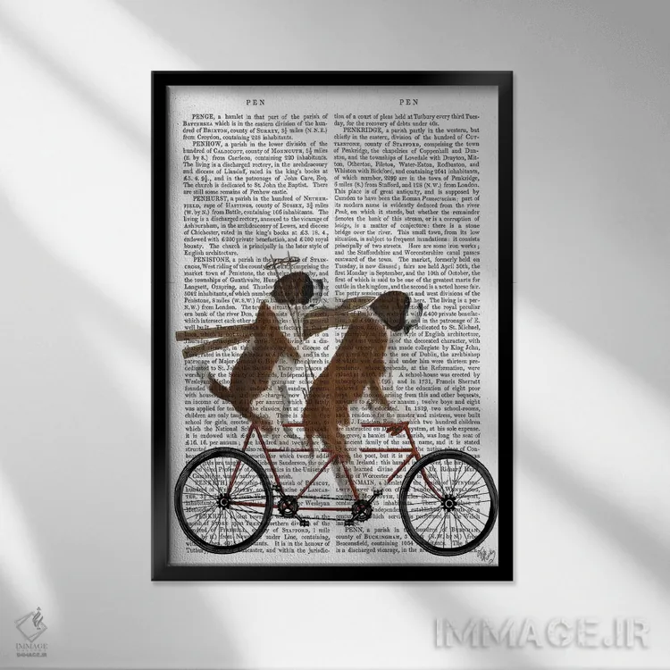 تابلو دکوراتیو سنت برنارد روی دوچرخه دونفره، پس زمینه چاپی اثر فب فانکی - نمای قابدار مشکی