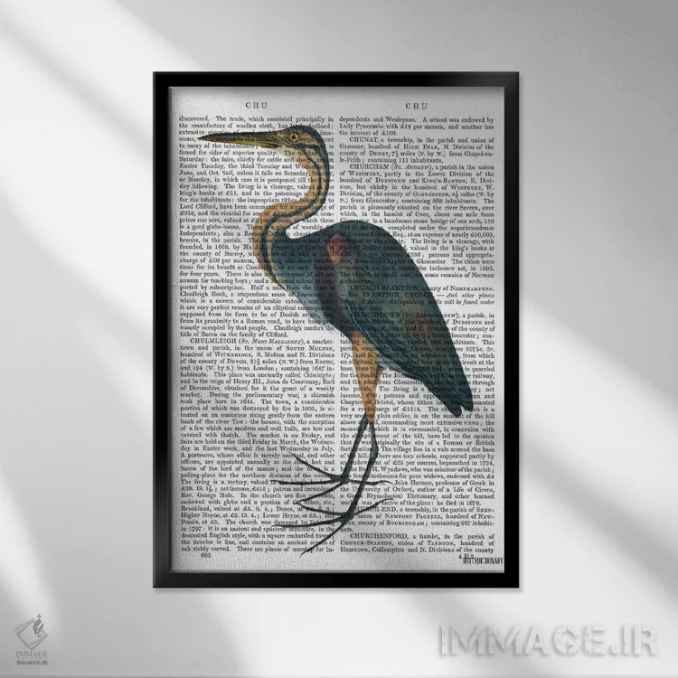 تابلو دکوراتیو حواصیل آبی ۳ اثر فب فانکی - نمای قابدار مشکی