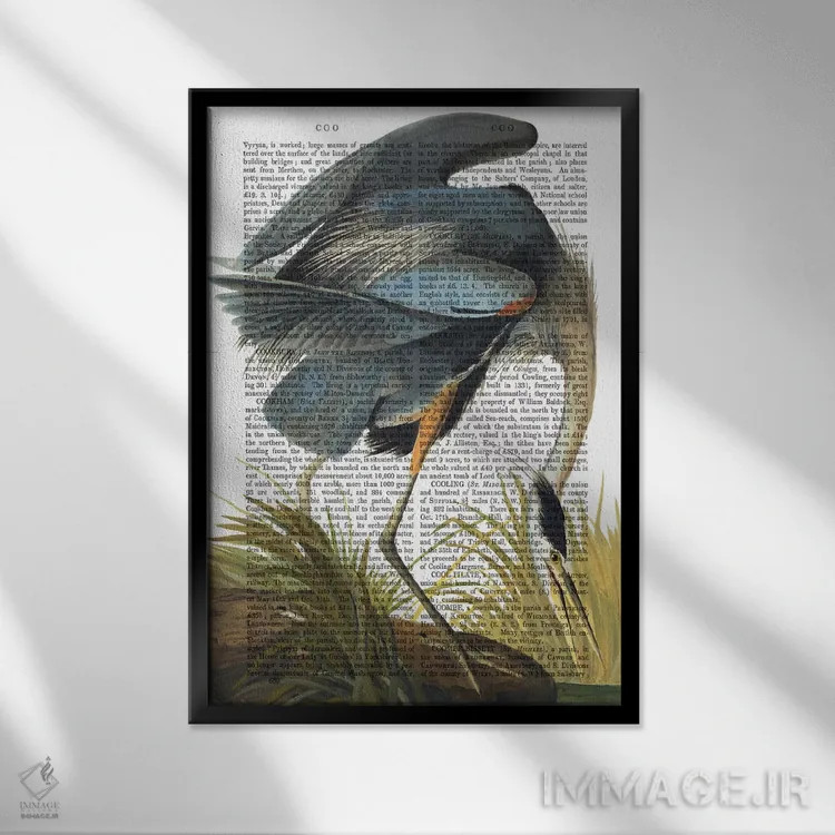 تابلو دکوراتیو حواصیل آبی ۱ اثر فب فانکی - نمای قابدار مشکی