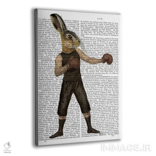 تابلو دکوراتیو خرگوش مشت زن اثر فب فانکی - نمای پرسپکتیو محصول